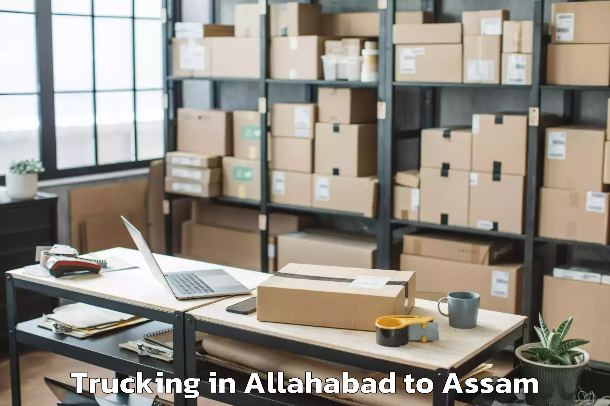 Book Allahabad to Nazira Trucking Online